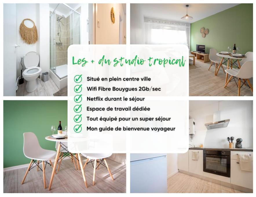 Le Studio Tropical Chalon-sur-Saône Zewnętrze zdjęcie
